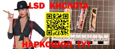 хмурый Долгопрудный