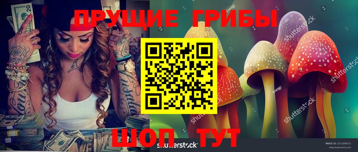 Галлюциногенные грибы мухоморы Верхняя Салда
